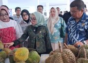 Ketua Kadin Paparkan Pertumbuhan Durian ke Wamenkop UKM