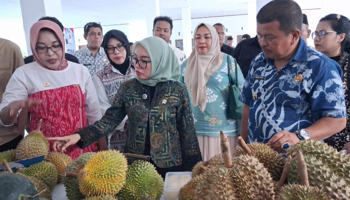 Ketua Kadin Paparkan Pertumbuhan Durian ke Wamenkop UKM