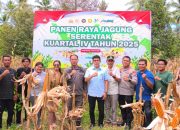 Desa Tolai Jadi Pusat Panen Raya Jagung