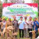 Desa Tolai Jadi Pusat Panen Raya Jagung