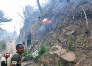 Diterjang Angin Kencang, Karhutla di Parimo Meluas