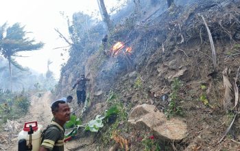 Diterjang Angin Kencang, Karhutla di Parimo Meluas