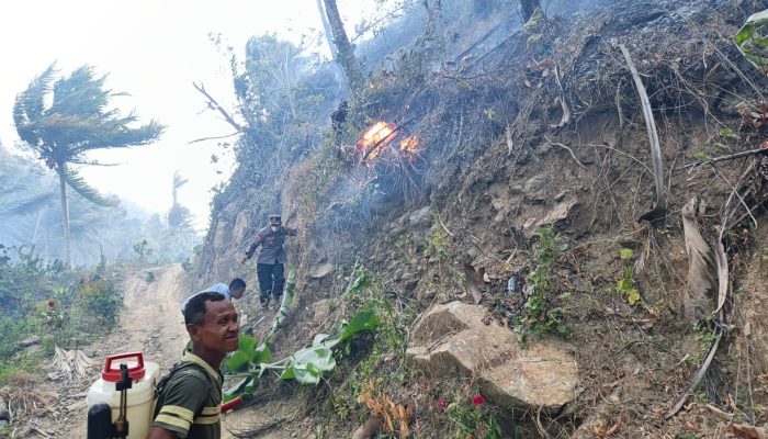 Diterjang Angin Kencang, Karhutla di Parimo Meluas