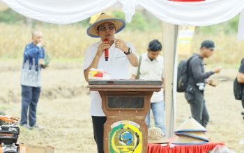Bupati Erwin: Jagung Komoditas Masa Depan Parimo 