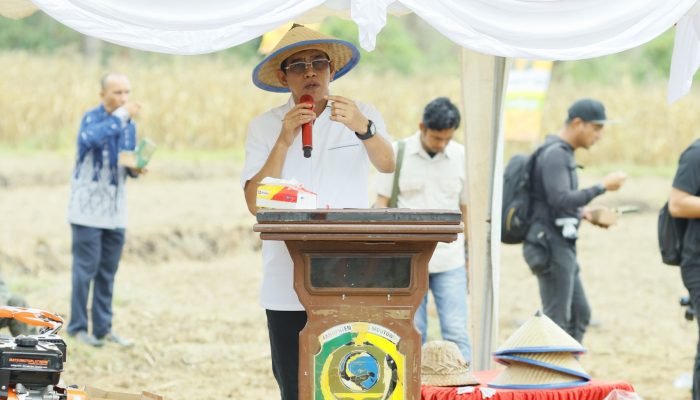 Bupati Erwin: Jagung Komoditas Masa Depan Parimo 