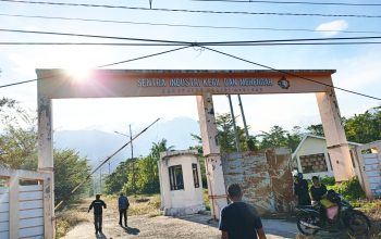 Hilirisasi Kelapa Digenjot, SIKIM Fokus Serap Hasil Petani