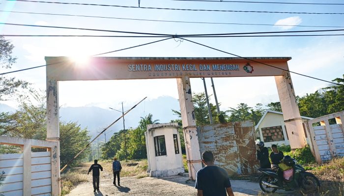 Hilirisasi Kelapa Digenjot, SIKIM Fokus Serap Hasil Petani