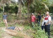 Misteri Kematian Pelajar SMP di Kebun Kelapa Parigi Utara