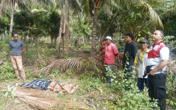 Misteri Kematian Pelajar SMP di Kebun Kelapa Parigi Utara