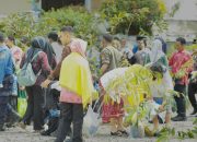 Pemda Parigi Moutong Bagikan 2.500 Bibit Durian Gratis