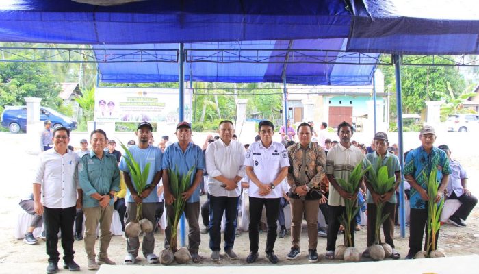 Serahkan 300 Hektare Bibit Kelapa, Kemenag Transmigrasi Dukung Hilirisasi di Parimo