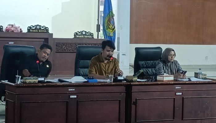 Pansus Dorong Ranperda Kesehatan Perkuat Layanan Berbasis Kebutuhan Daerah
