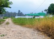 Puskesmas Megah, Jalan Rusak: Akses Lompentodea Disorot