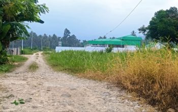 Puskesmas Megah, Jalan Rusak: Akses Lompentodea Disorot