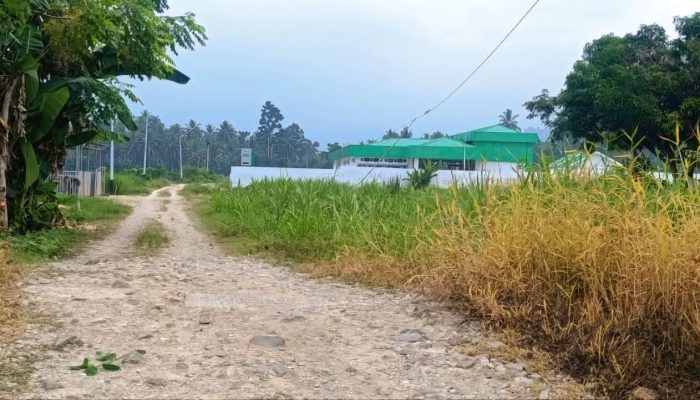 Puskesmas Megah, Jalan Rusak: Akses Lompentodea Disorot